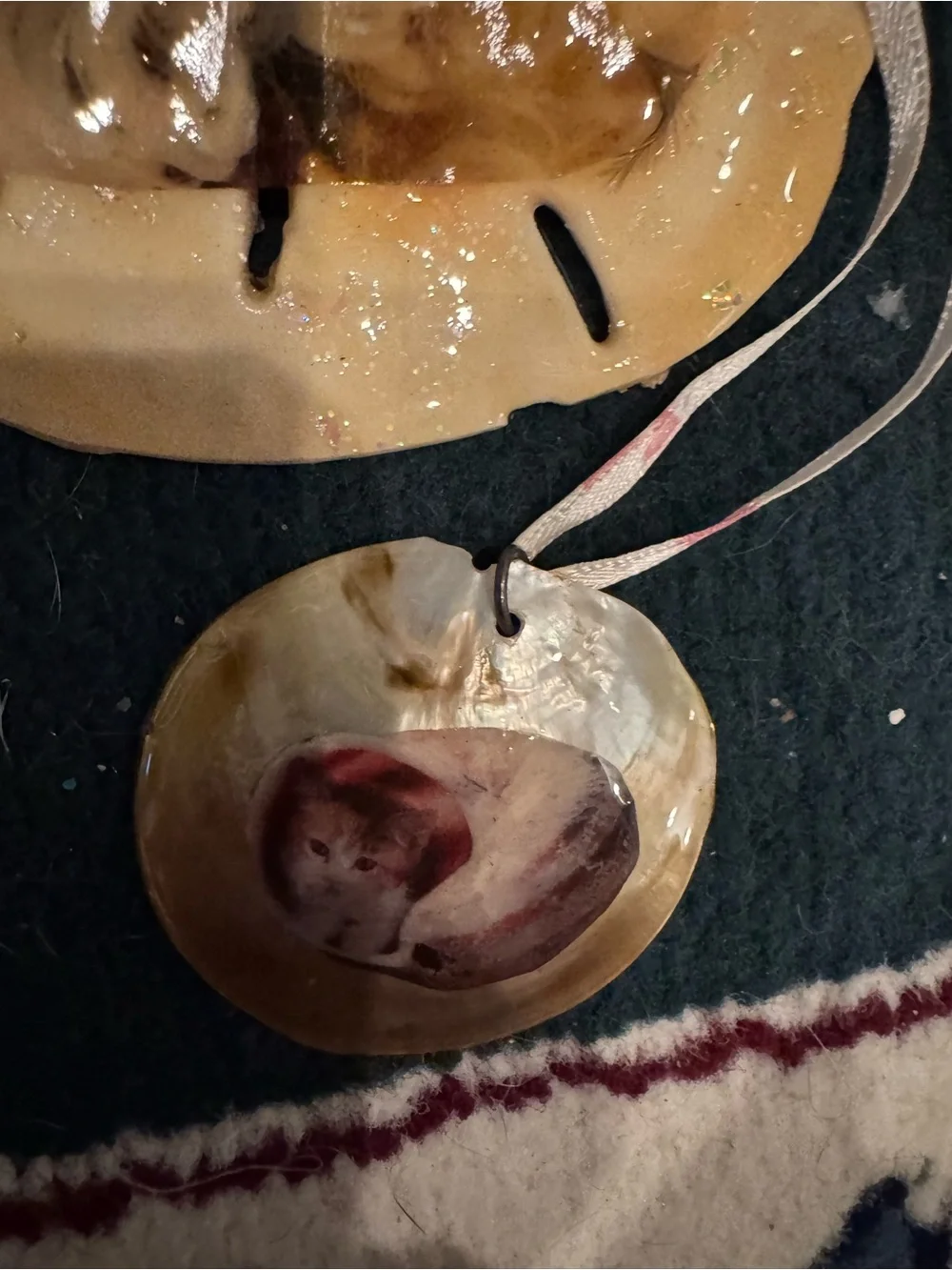 Handmade Cat Photo Ornaments sand dollars real shell- Assorted Cream, White, Tan